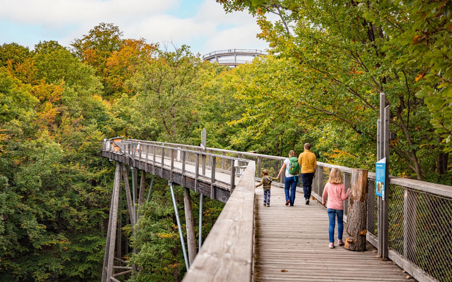 Baumwipfelpfad Holz