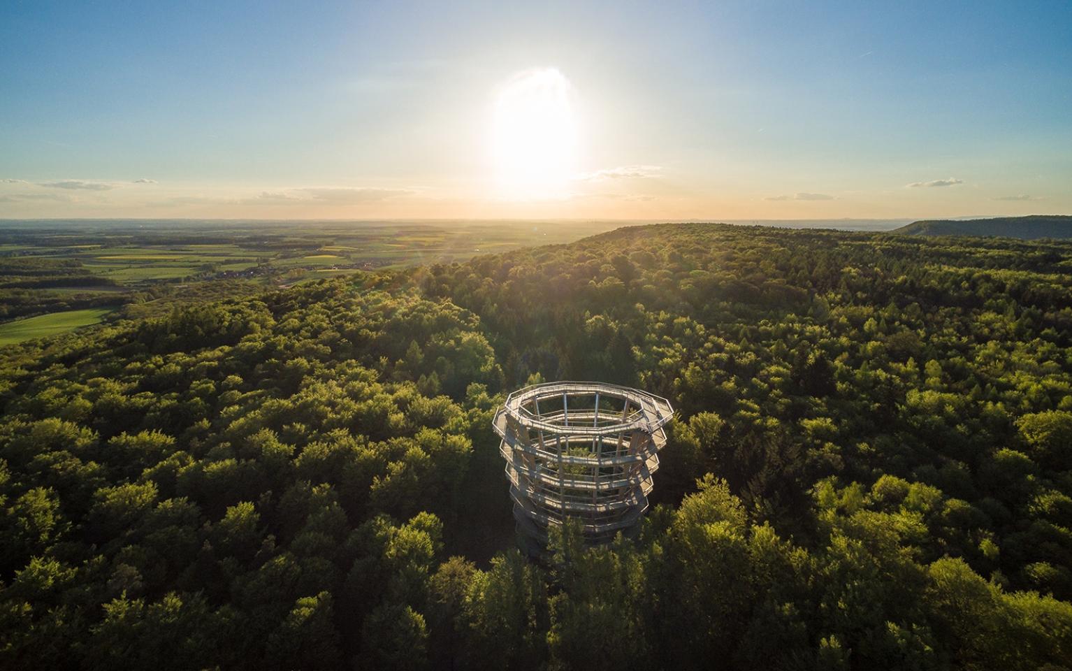 Baumwipfelpfad Steigerwald